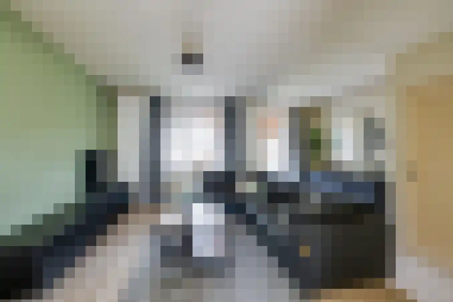 Klaproos 50 Udenhout thumbnail 6