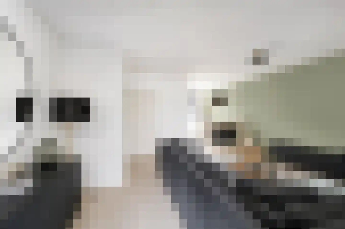 Klaproos 50 Udenhout thumbnail 7