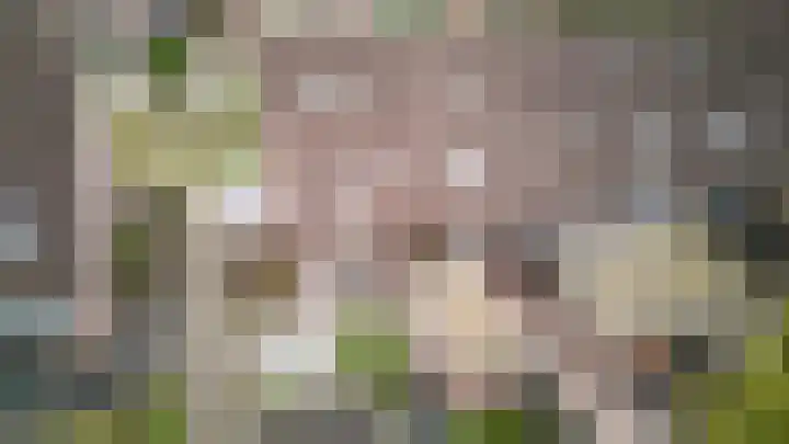 Klaproos 51 Hardenberg thumbnail 37