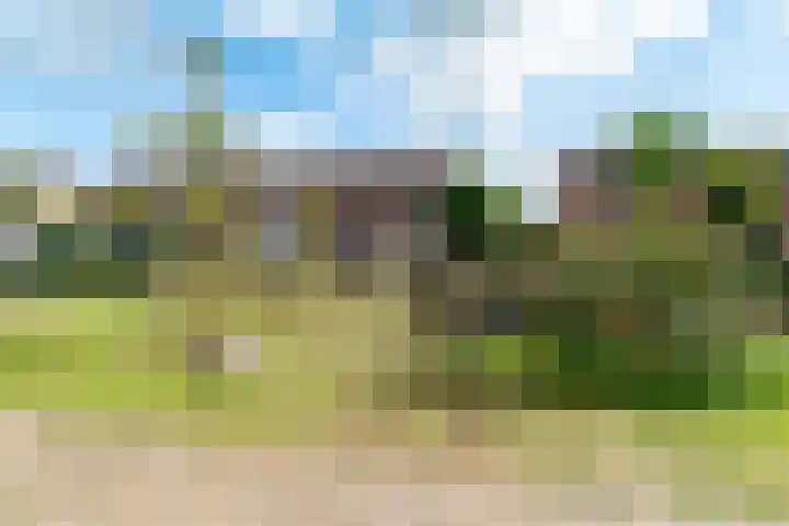 Klaproos 51 Hardenberg thumbnail 38