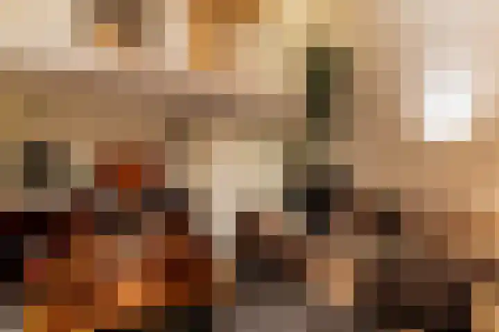 Klaproos 55 Lelystad thumbnail 12