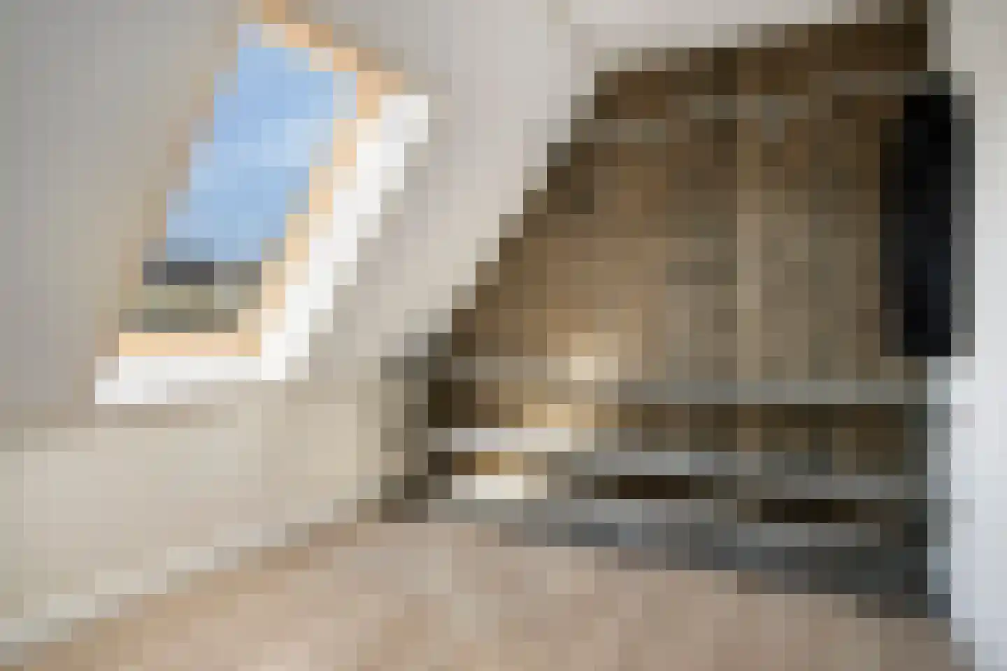 Klaproos 6 Alphen thumbnail 12