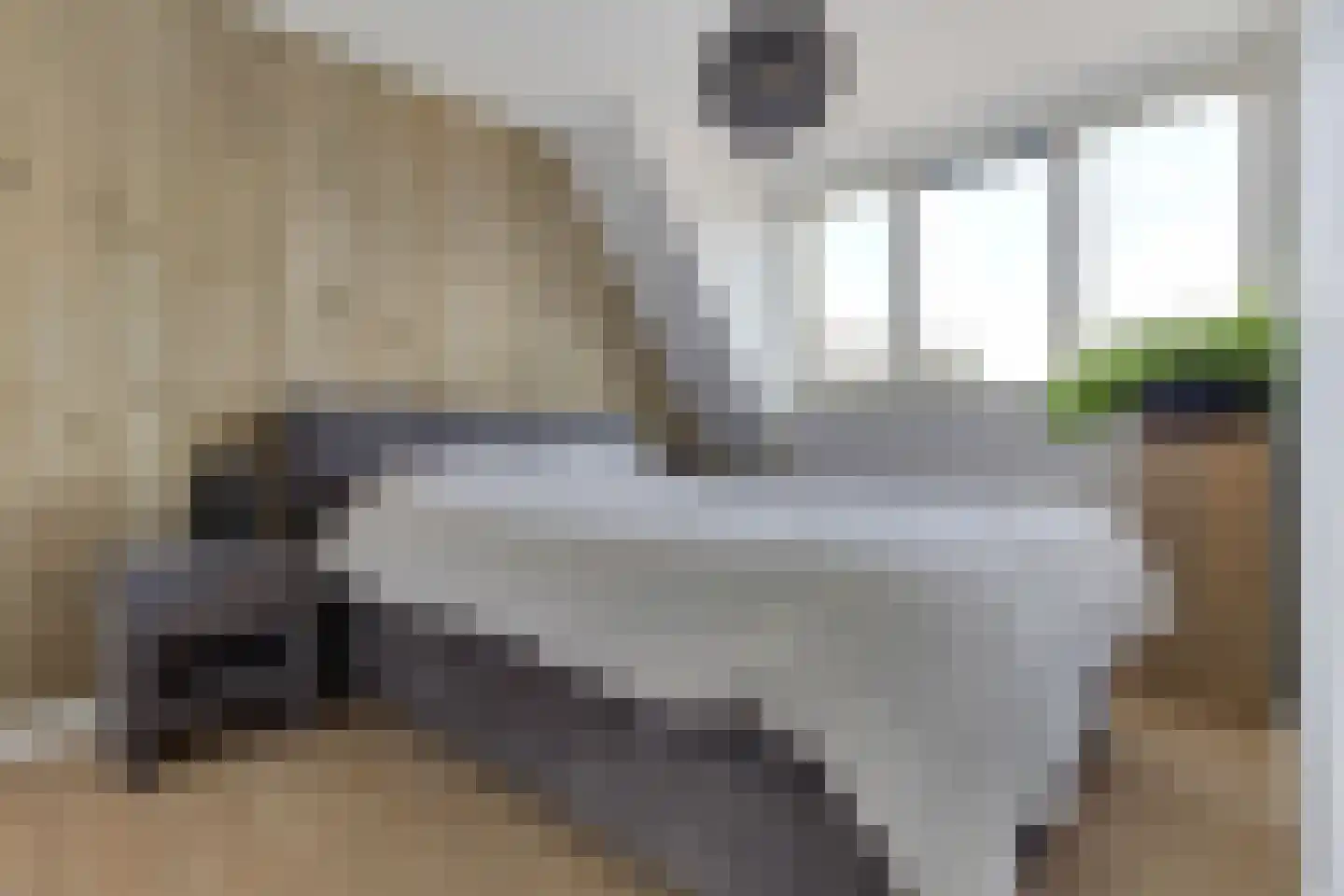 Klaproos 6 Alphen thumbnail 14
