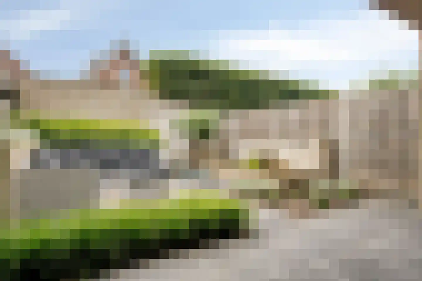 Klaproos 6 Alphen thumbnail 21