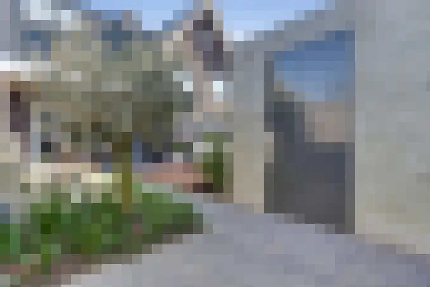Klaproos 6 Alphen thumbnail 23