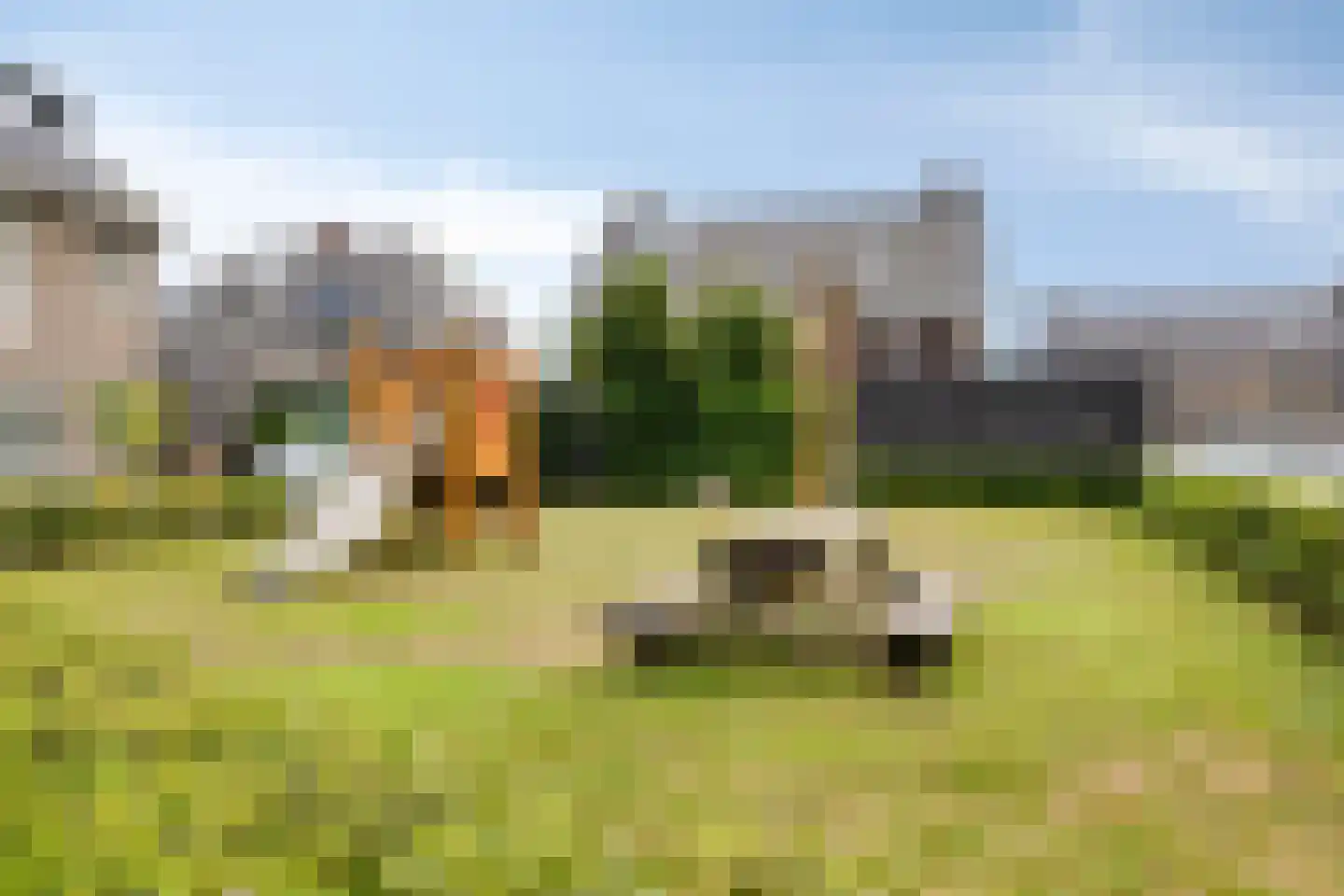 Klaproos 6 Alphen thumbnail 25