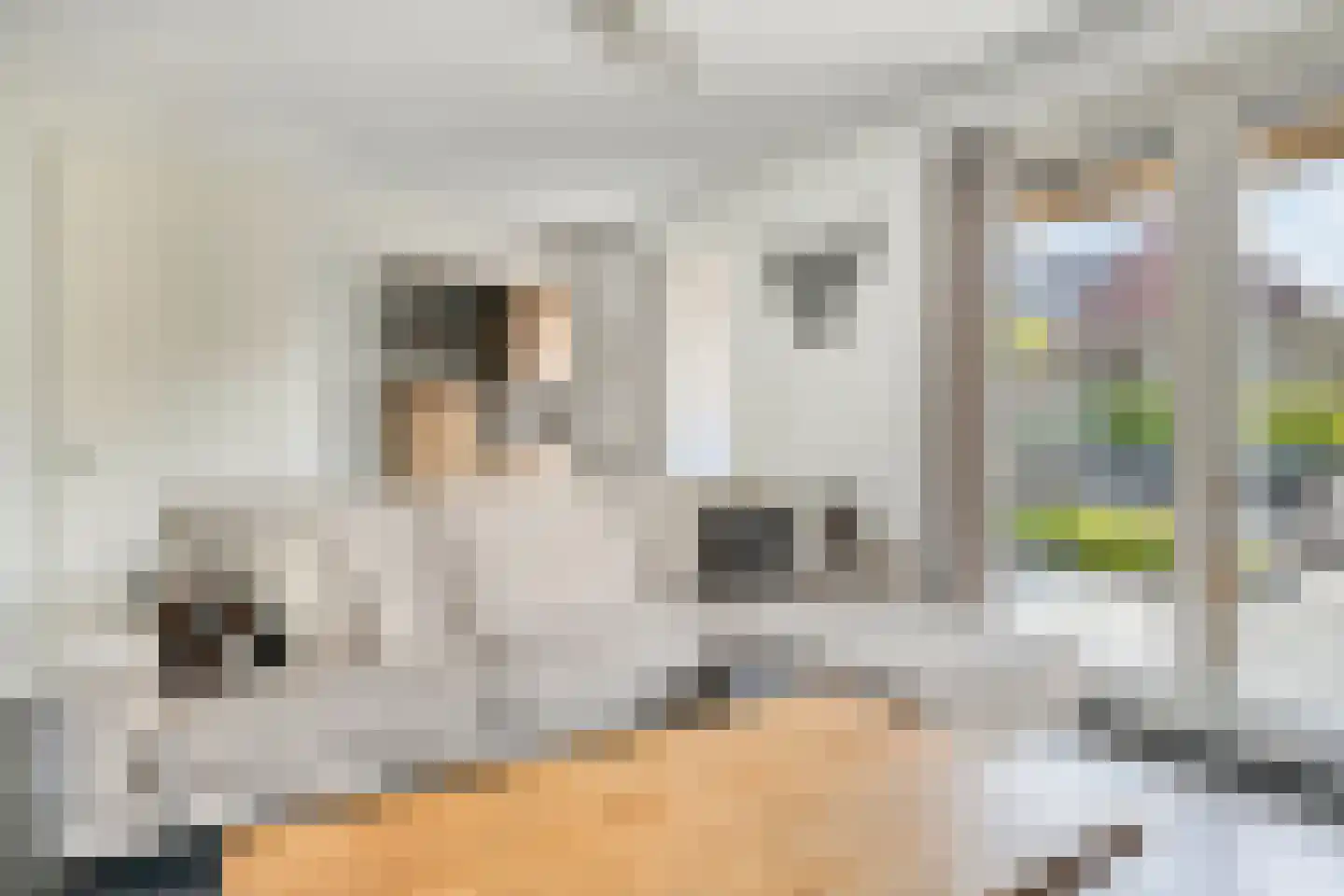 Klaproos 6 Alphen thumbnail 7