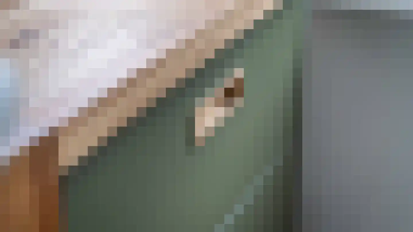 Klaproos 61 Werkendam thumbnail 11