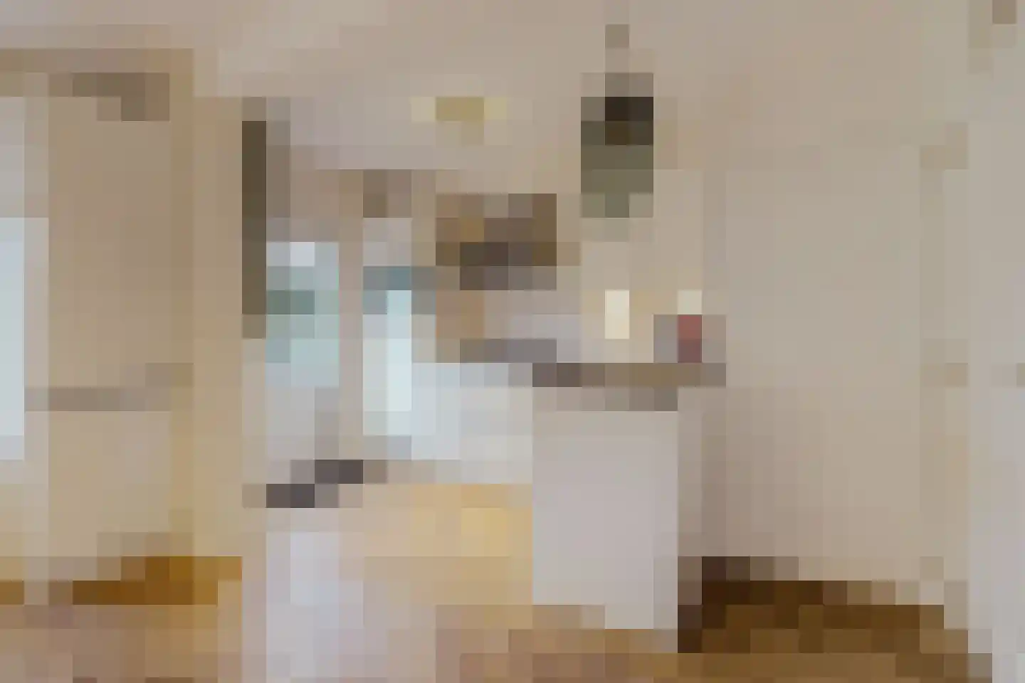 Klaproos 61 Werkendam thumbnail 13