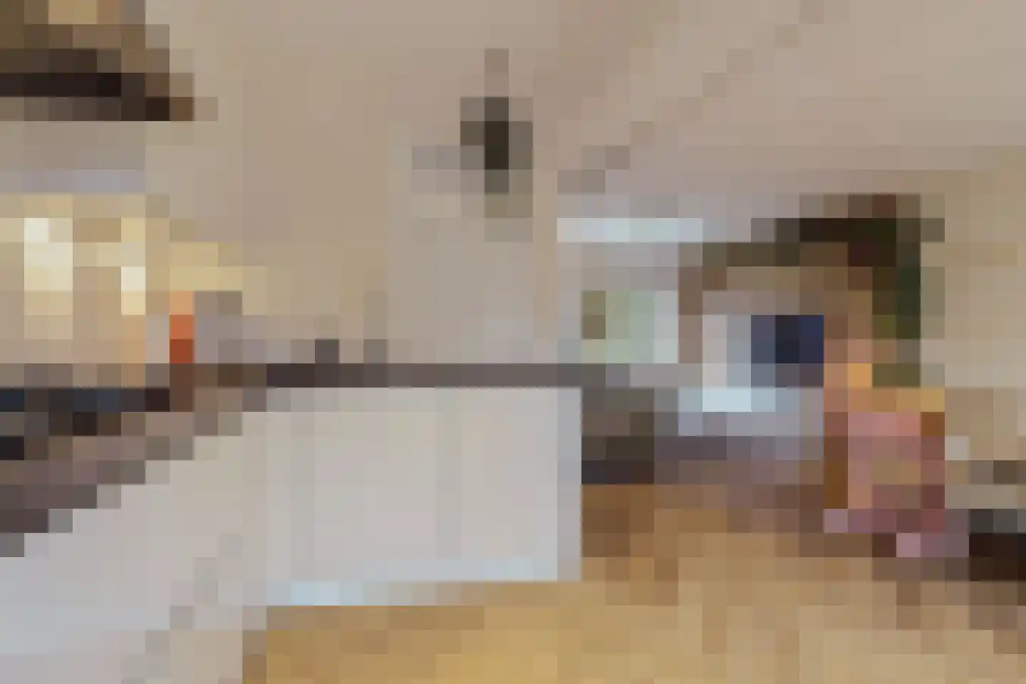 Klaproos 61 Werkendam thumbnail 15