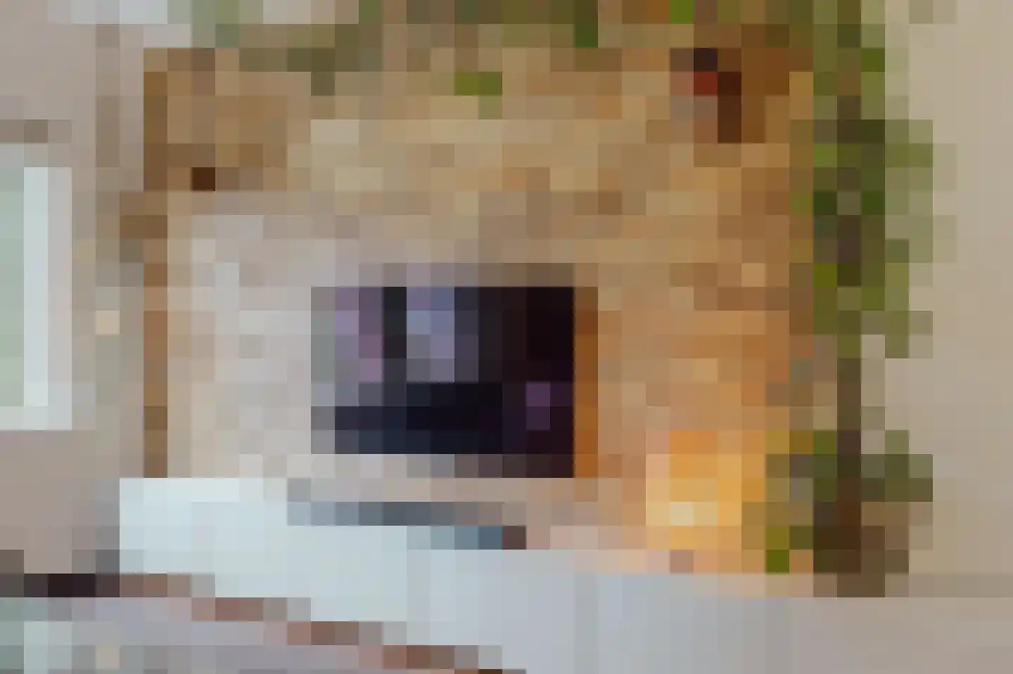 Klaproos 61 Werkendam thumbnail 16