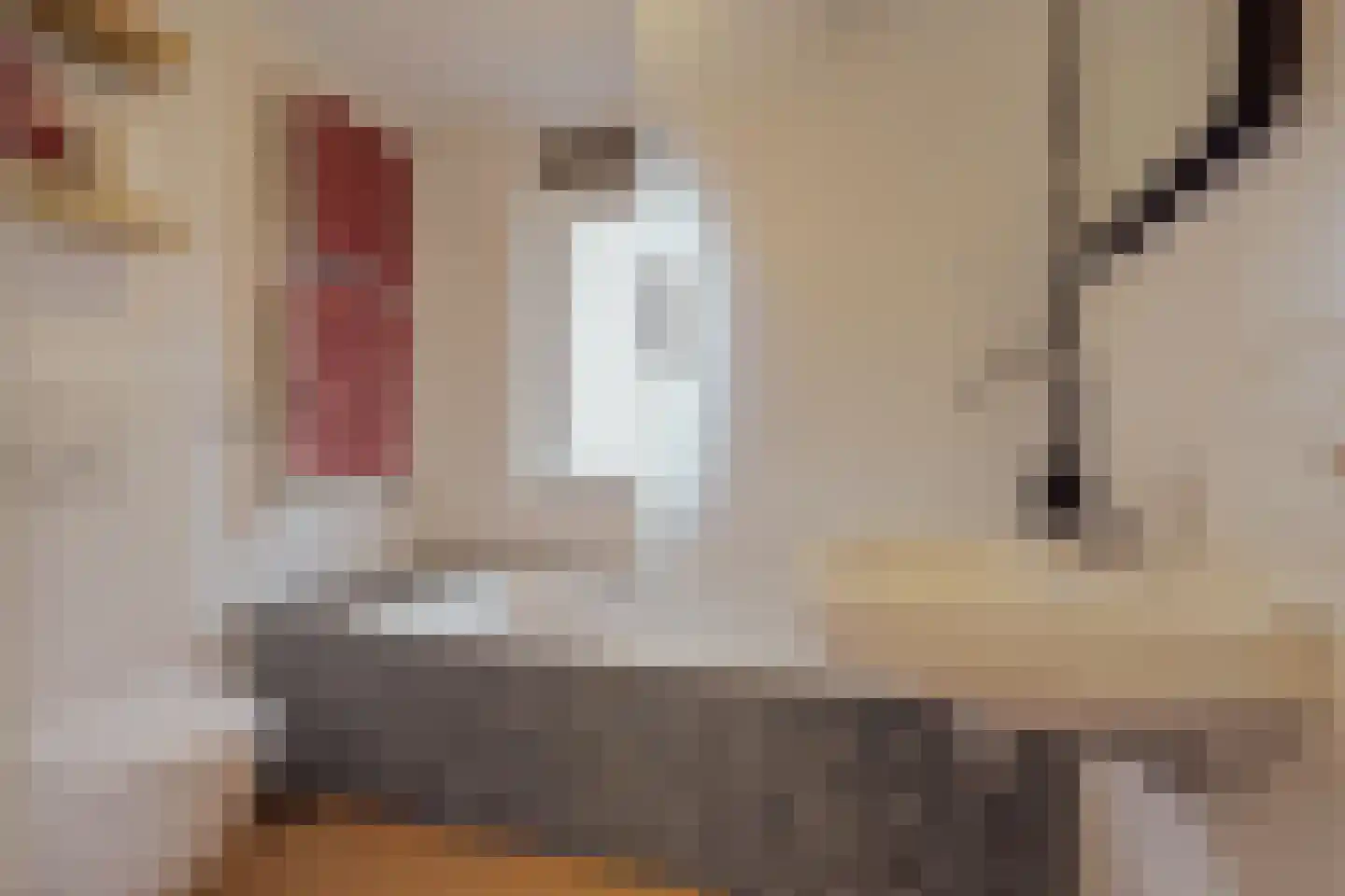 Klaproos 61 Werkendam thumbnail 29
