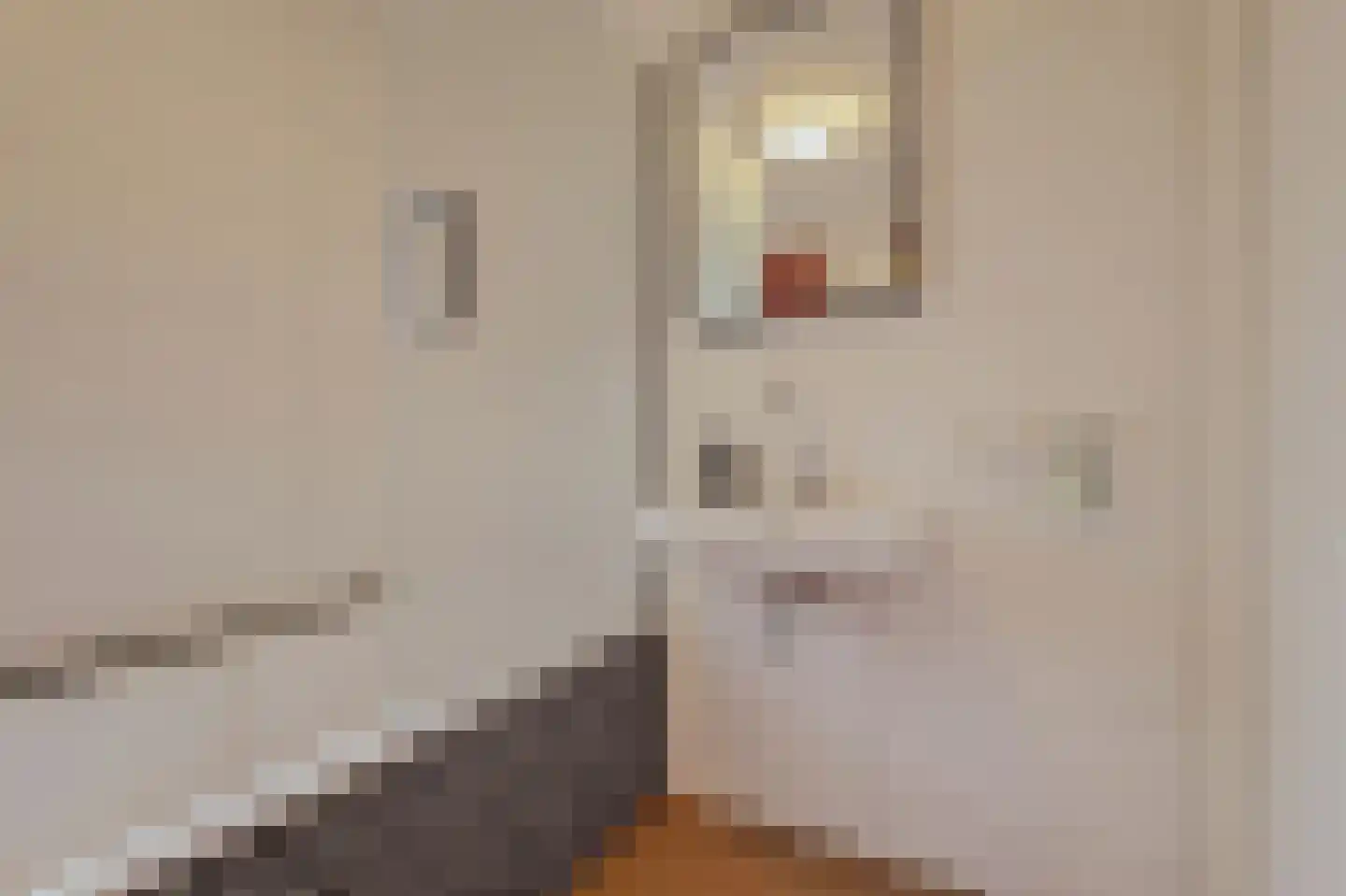 Klaproos 61 Werkendam thumbnail 30