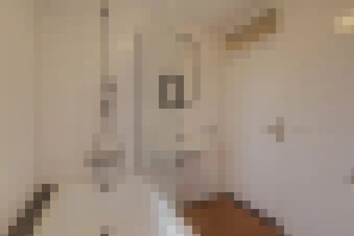 Klaproos 61 Werkendam thumbnail 31