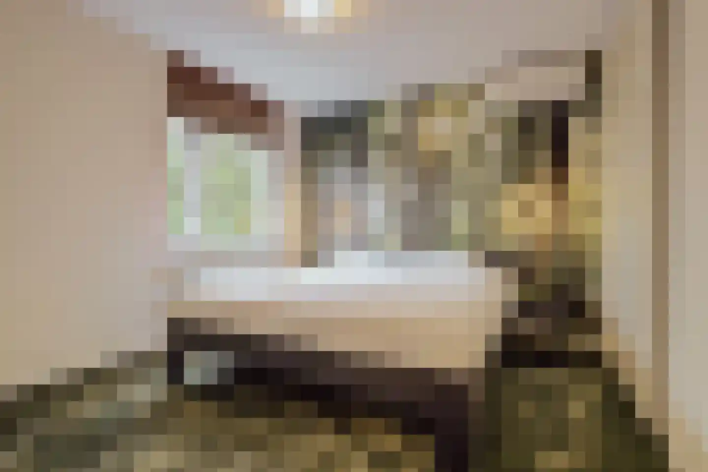 Klaproos 61 Werkendam thumbnail 32