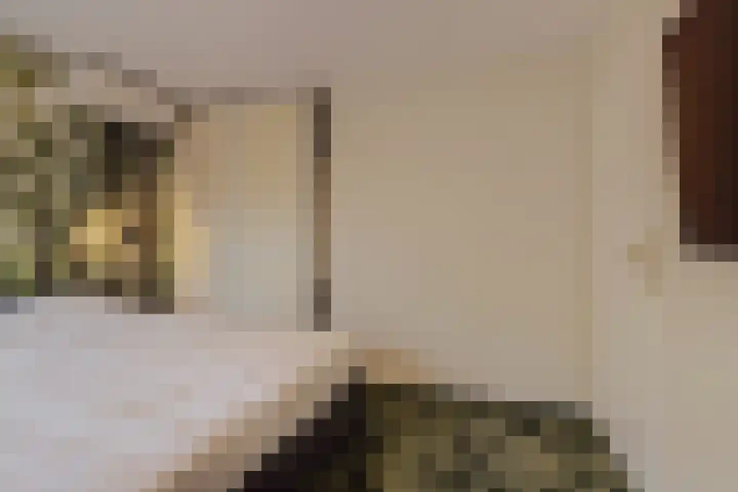 Klaproos 61 Werkendam thumbnail 34