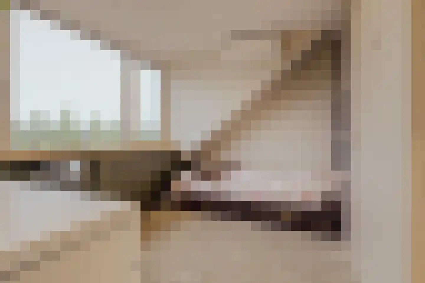 Klaproos 61 Werkendam thumbnail 45