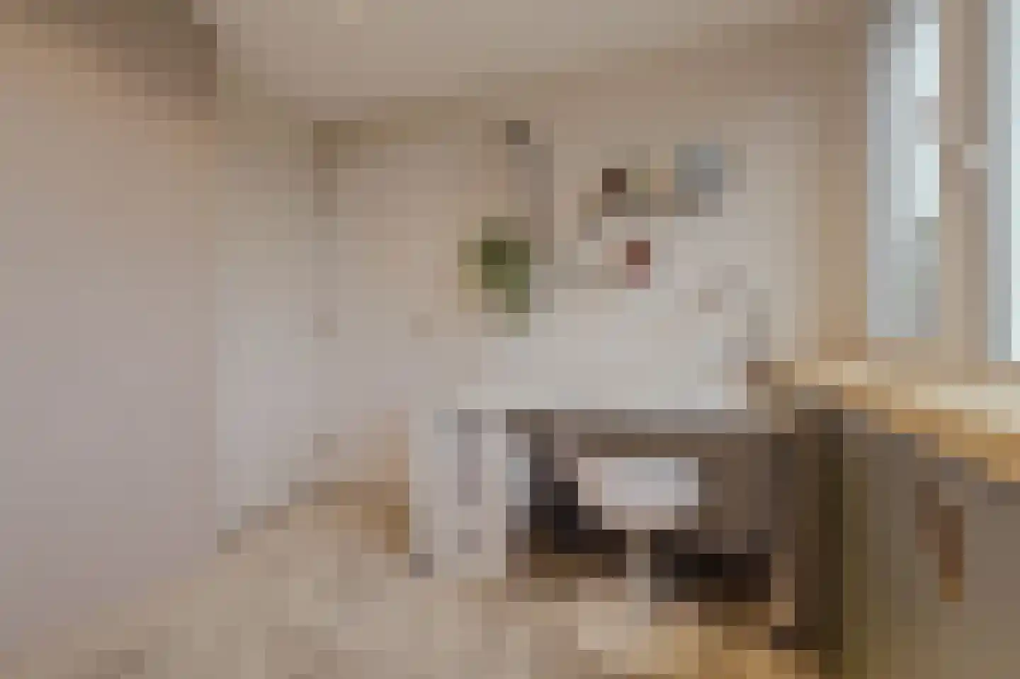Klaproos 61 Werkendam thumbnail 48
