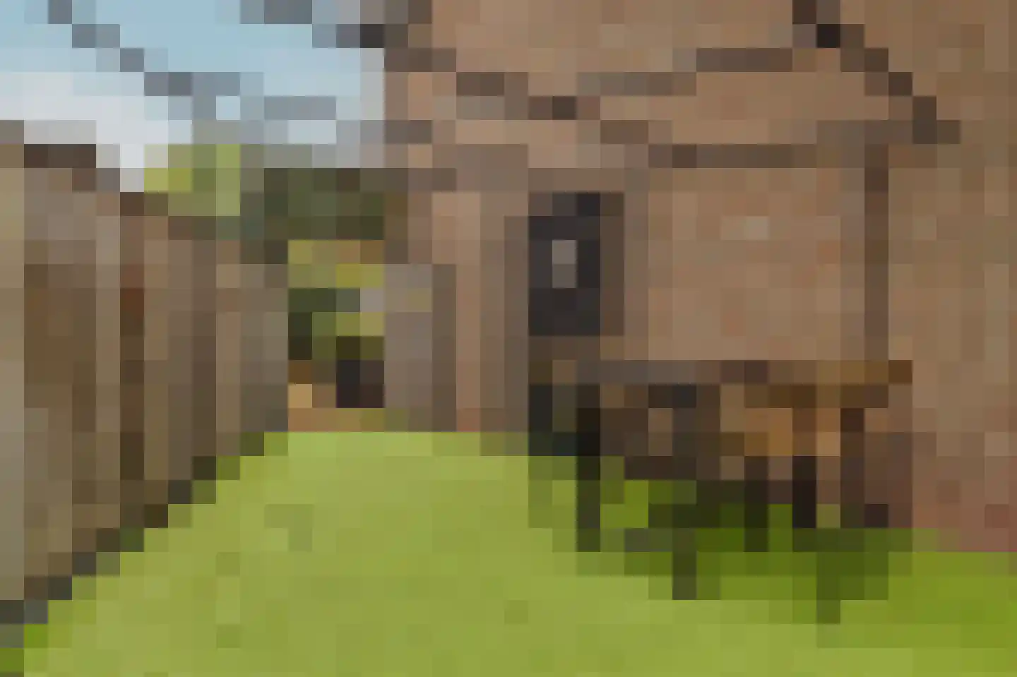 Klaproos 61 Werkendam thumbnail 55