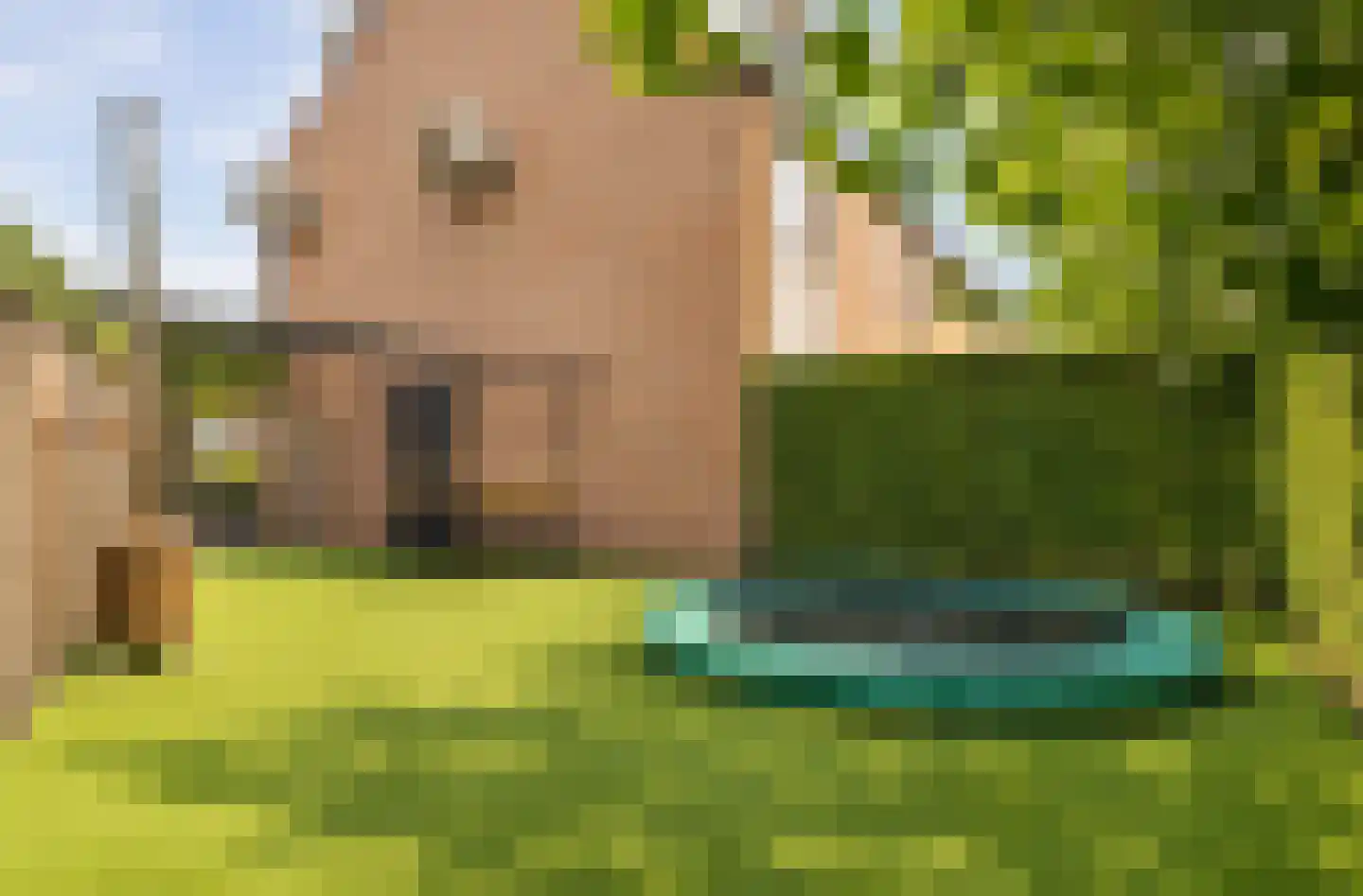 Klaproos 61 Werkendam thumbnail 56