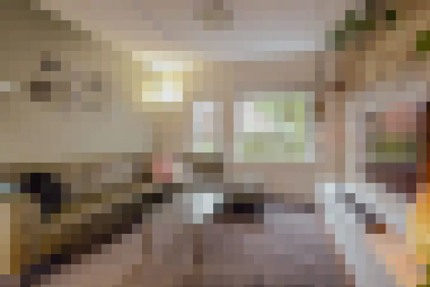 Klaproos 61 Werkendam thumbnail 7