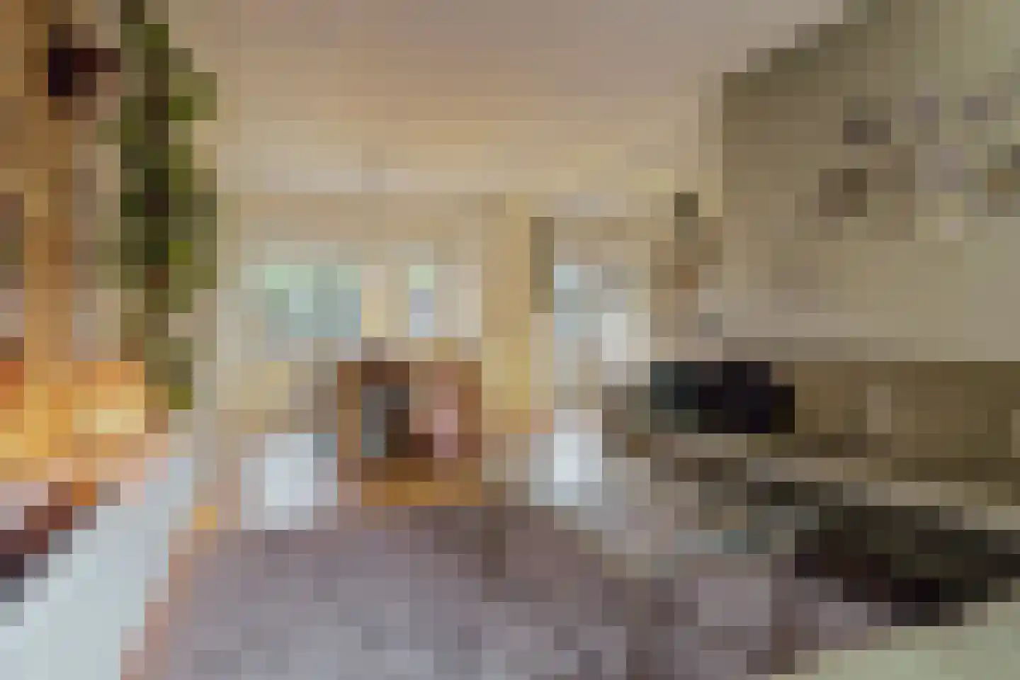 Klaproos 61 Werkendam thumbnail 8