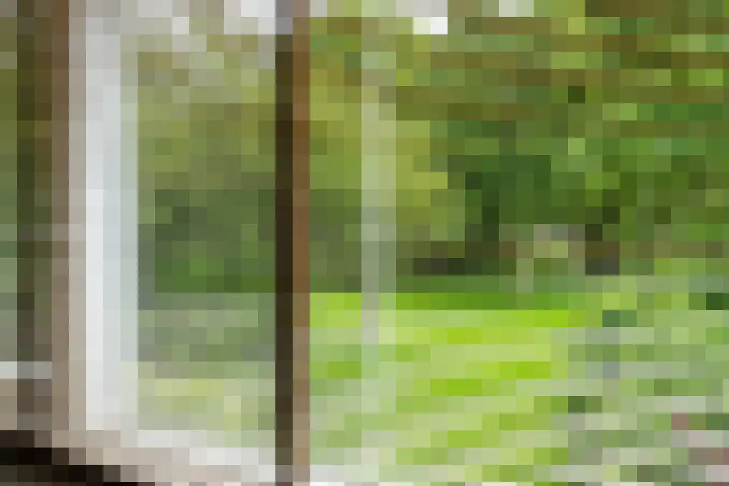 Klaproos 64 Werkendam thumbnail 20