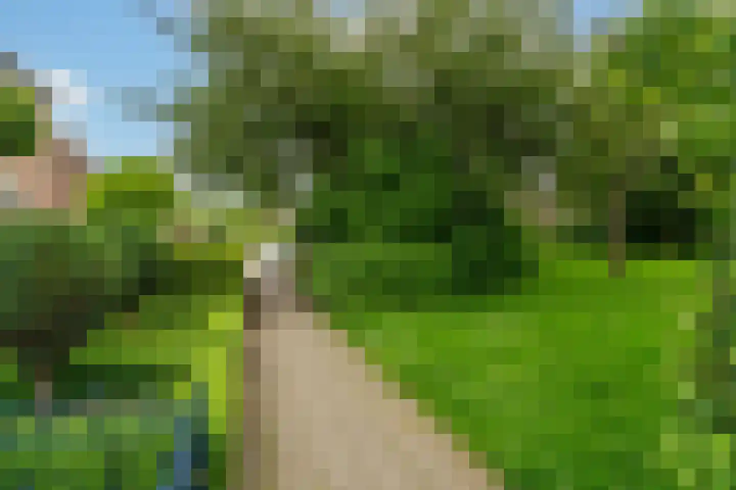 Klaproos 64 Werkendam foto 3