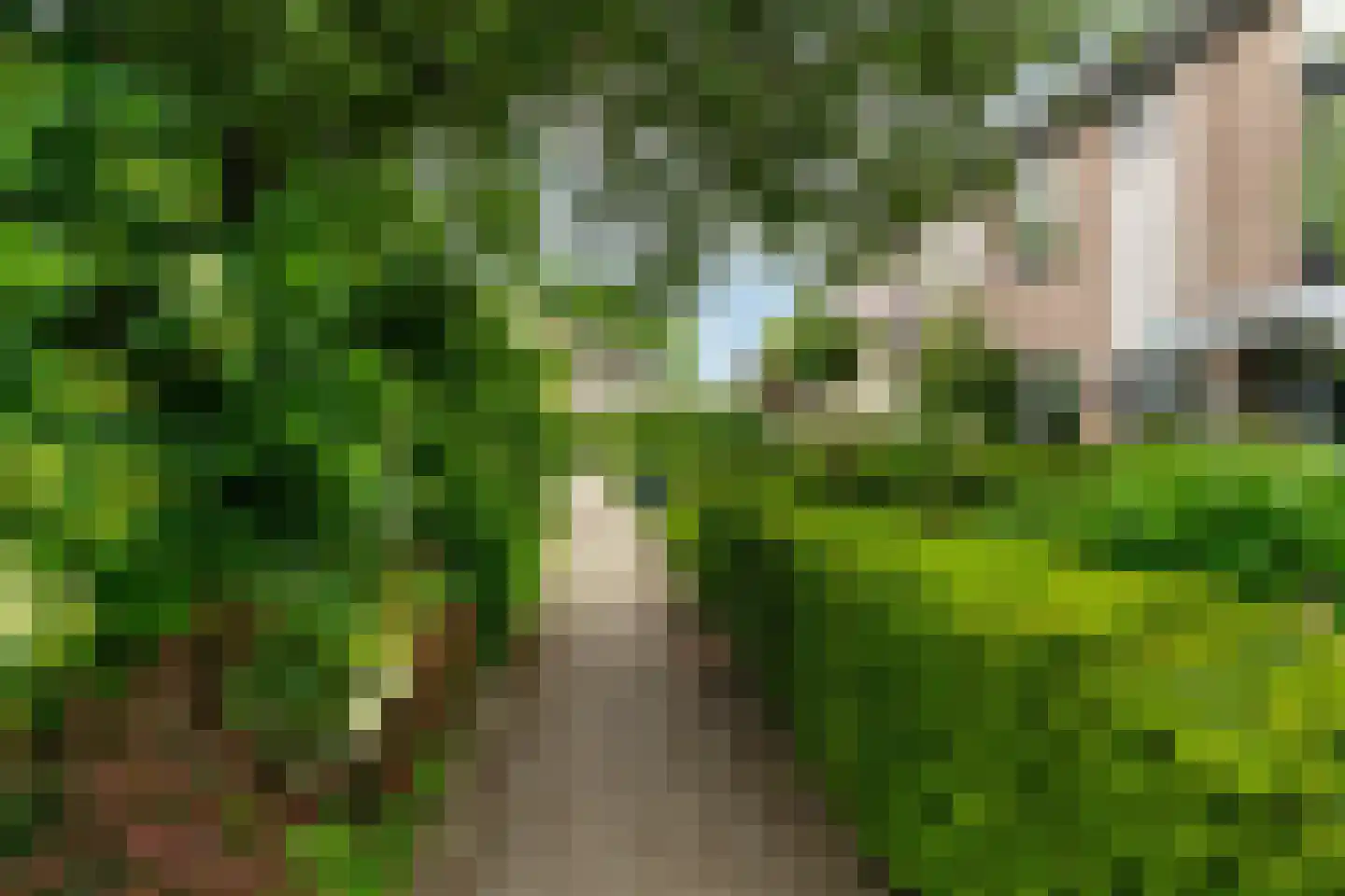 Klaproos 64 Werkendam thumbnail 4