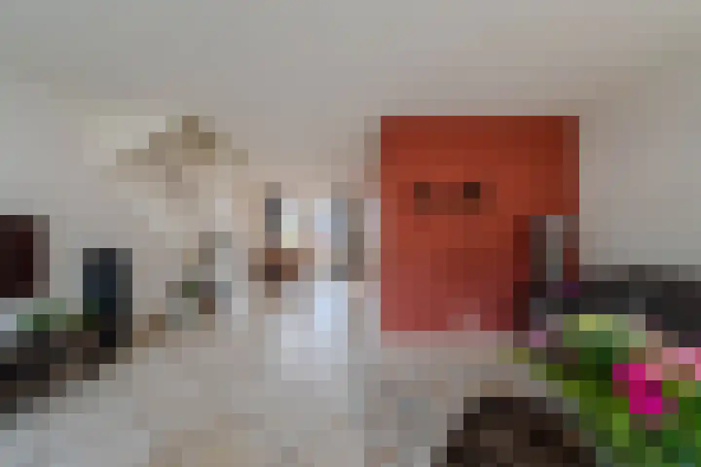Klaproos 65 Venray thumbnail 11