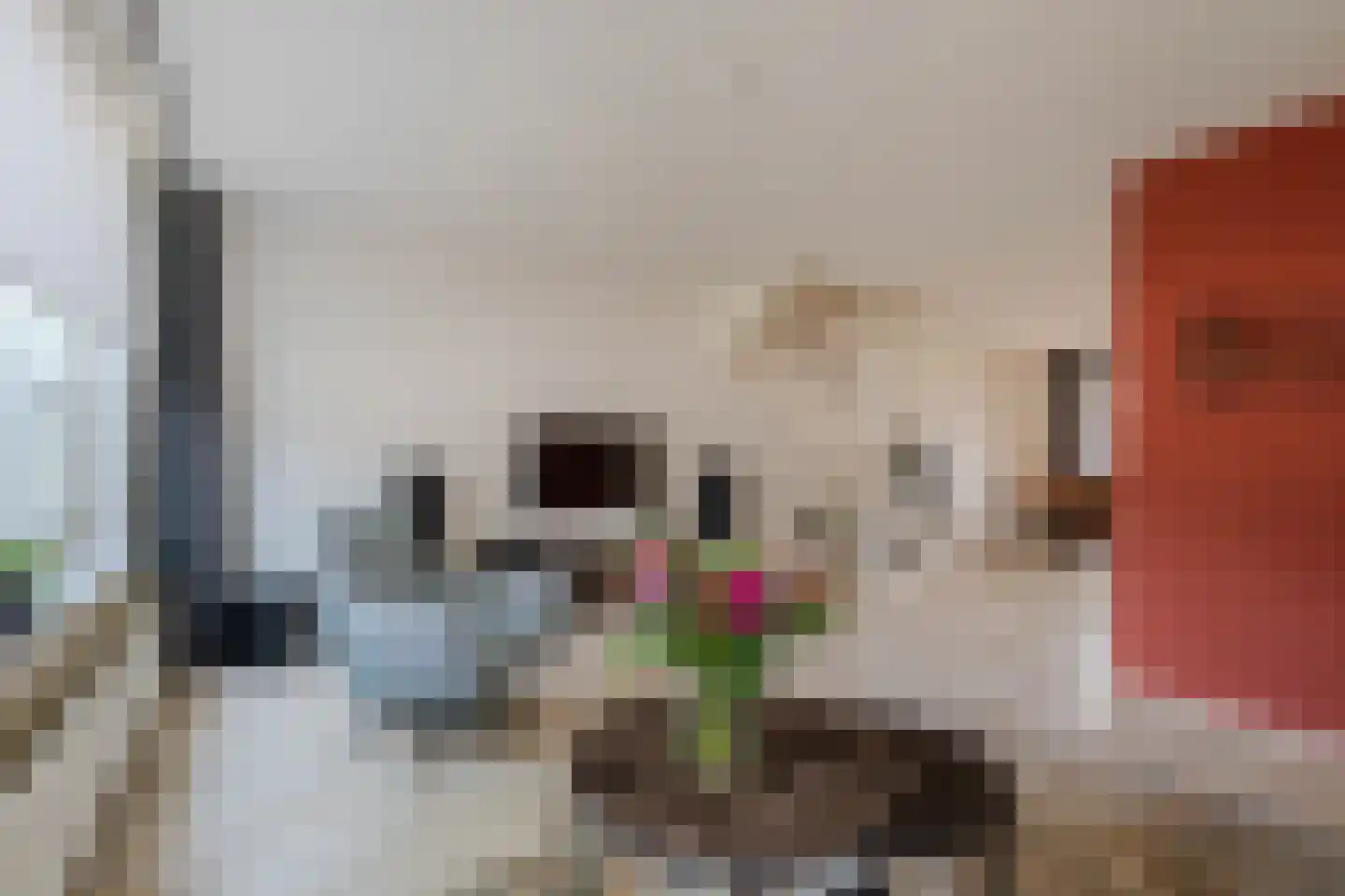 Klaproos 65 Venray thumbnail 12
