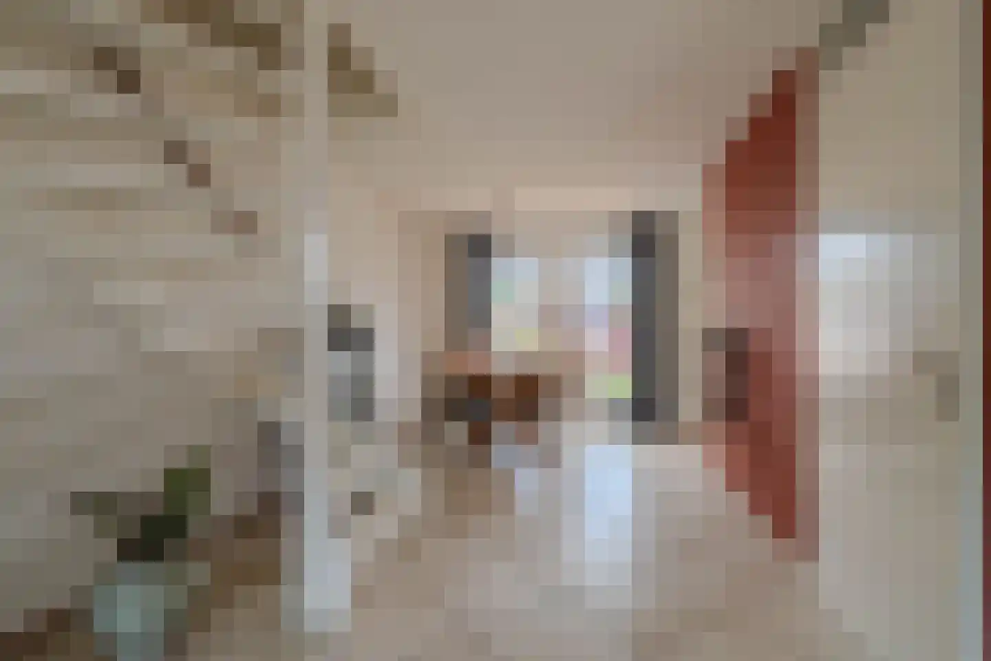 Klaproos 65 Venray thumbnail 13