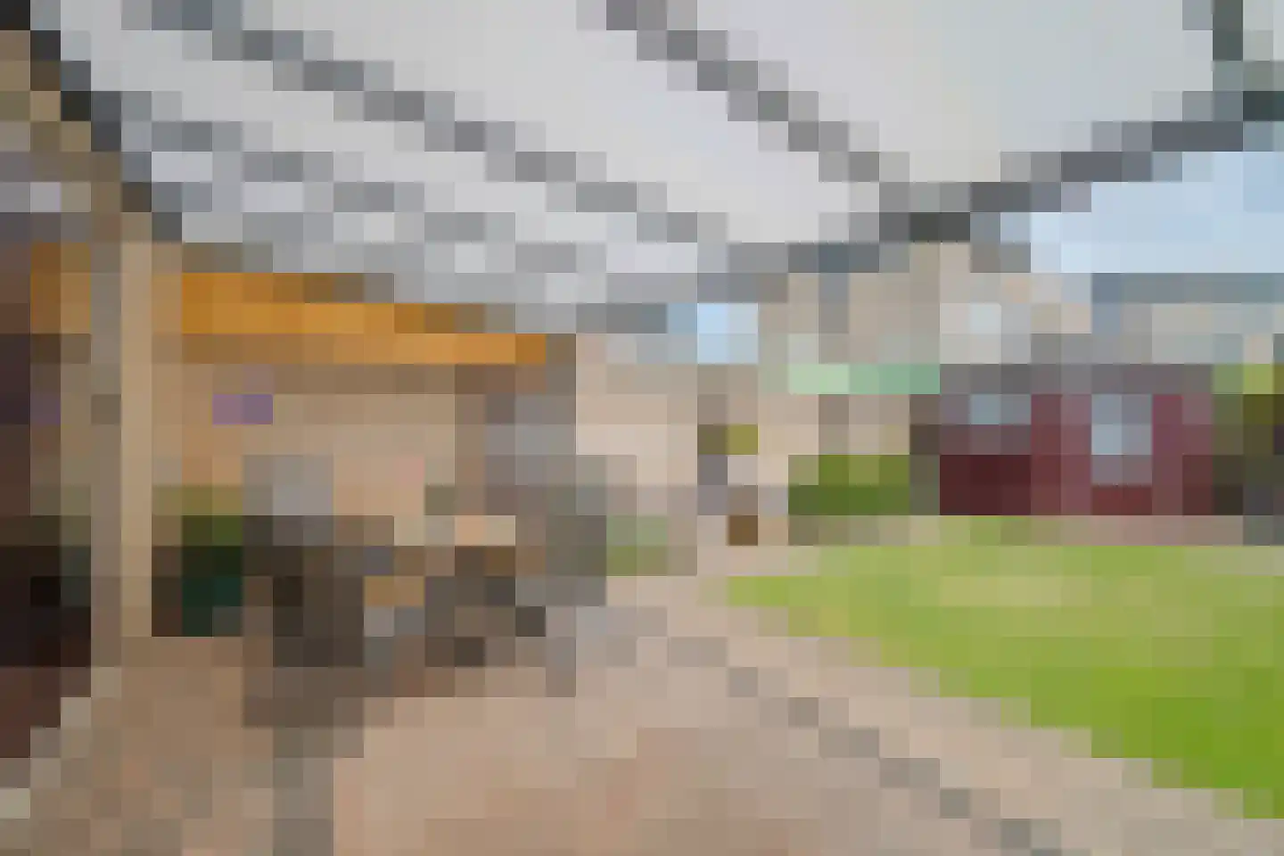Klaproos 65 Venray thumbnail 33