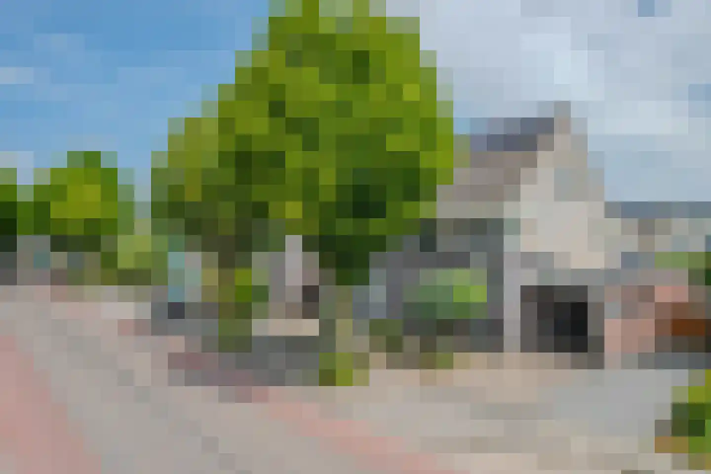 Klaproos 65 Venray thumbnail 4