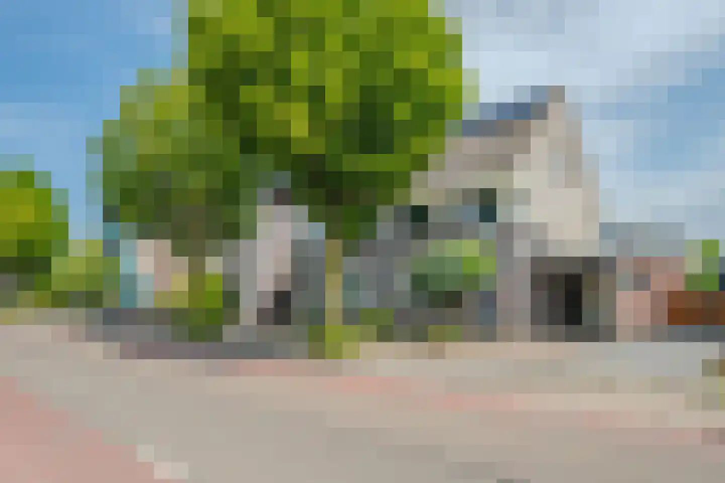 Klaproos 65 Venray thumbnail 44