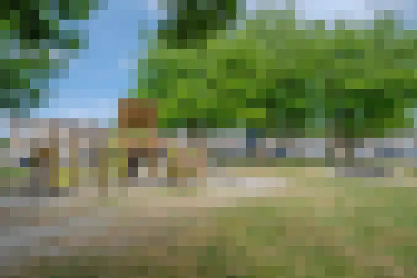 Klaproos 65 Venray thumbnail 46