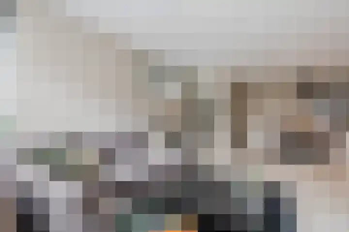 Klaproos 68 Bodegraven thumbnail 12