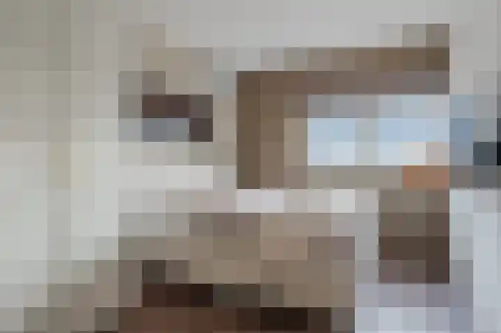 Klaproos 68 Bodegraven thumbnail 22
