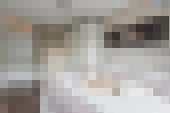 Klaproos 68 Bodegraven thumbnail 23