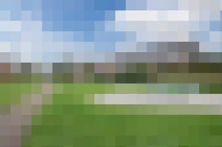 Klaproos 68 Bodegraven thumbnail 31