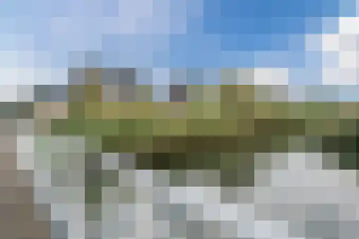 Klaproos 68 Bodegraven thumbnail 32