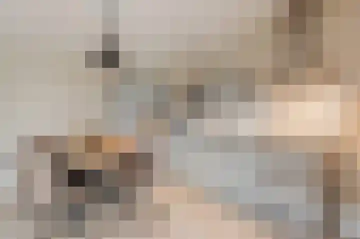 Klaproos 68 Bodegraven thumbnail 4