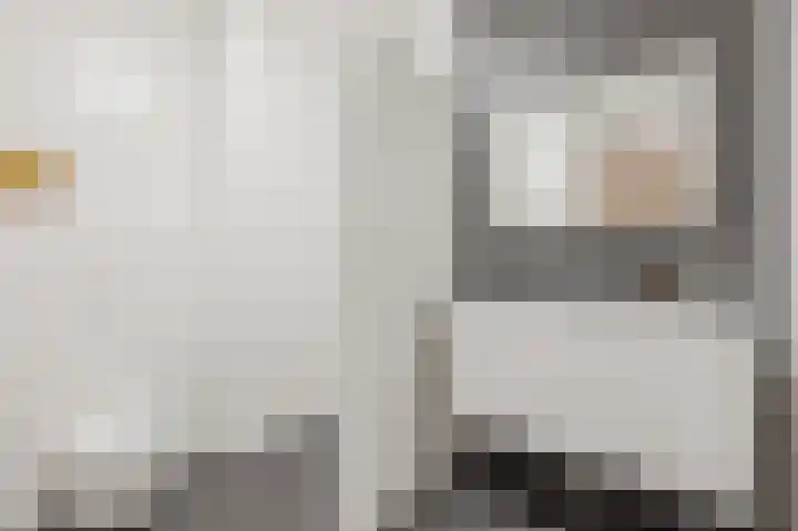 Klaproos 68 Bodegraven thumbnail 5