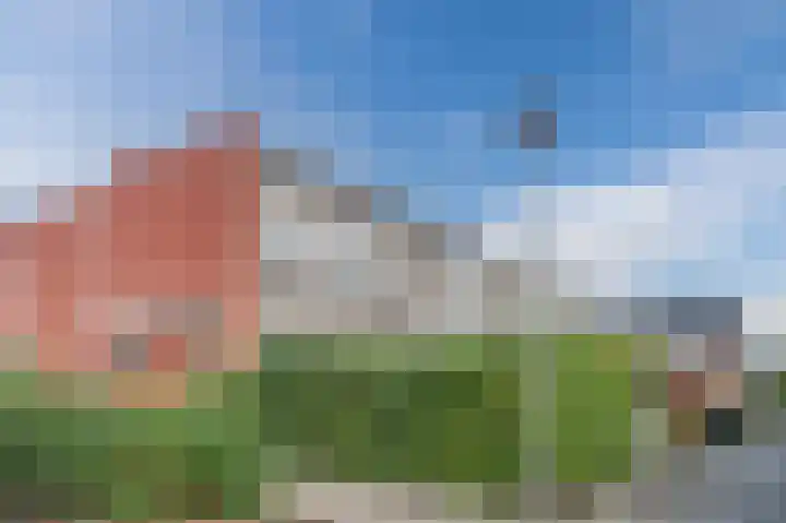 Klaproos 68 Bodegraven thumbnail 6