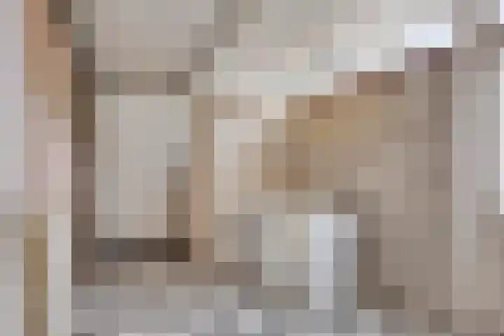 Klaproos 68 Hapert thumbnail 14