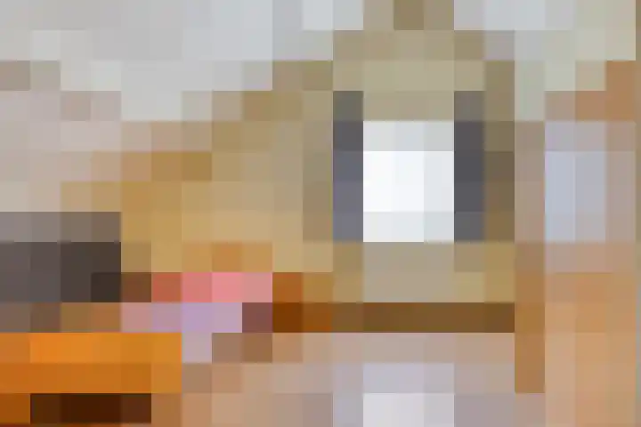 Klaproos 68 Hapert thumbnail 23