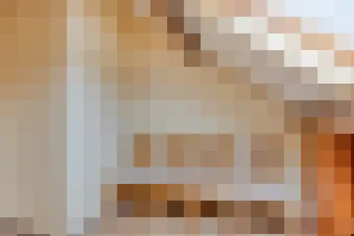 Klaproos 68 Hapert thumbnail 29