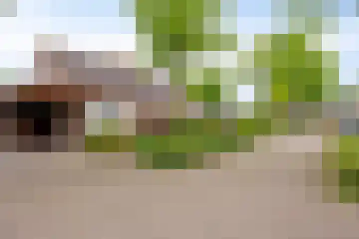 Klaproos 68 Hapert thumbnail 30
