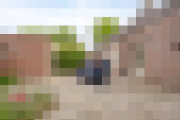 Klaproos 68 Hapert thumbnail 31