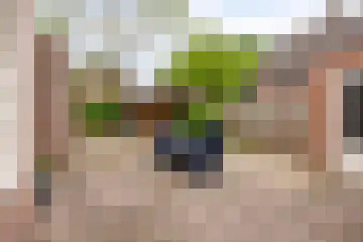 Klaproos 68 Hapert thumbnail 32